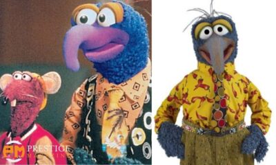 Muppet With Long Hooked Beak